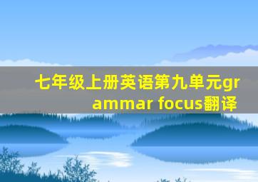 七年级上册英语第九单元grammar focus翻译